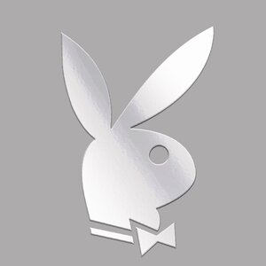 Изображение 1, PKTA 055 Наклейка металлическая "PlayBoy" 25х25мм MASHINOKOM