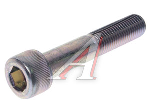 Изображение 1, 96700-1005518 Болт HONDA Civic натяжителя цепи OE