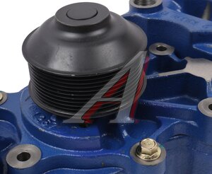 Изображение 5, 612630061257-MX Насос водяной SHACMAN SHAANXI дв.WP12 MOVELEX