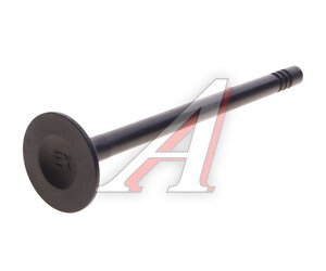 Изображение 1, WOZ1063LS Клапан выпускной HYUNDAI Porter 2 (15-) KRAUF