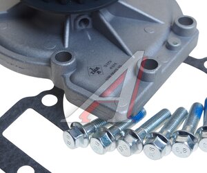 Изображение 5, 538004310 Насос водяной FORD Focus (05-) INA