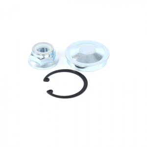 Изображение 2, RG7703034250KIT Гайка ЛАДА Vesta RENAULT Logan (04-) ступицы задней RIGINAL