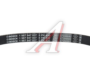 Изображение 5, 1987947837 Ремень приводной поликлиновой 5PK830 BOSCH