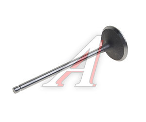 Изображение 2, NSP0194580146 Клапан впускной CHEVROLET Aveo (03-) (1.2 OHC) NSP
