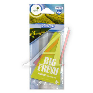 Изображение 1, PABF-42 Ароматизатор подвесной пластина (чай зеленый) Big Fresh FKVJP