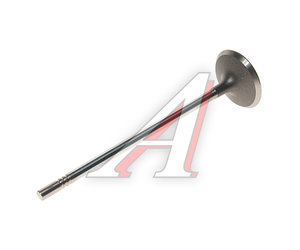 Изображение 2, 55557862 Клапан впускной CHEVROLET Aveo (08-), Cruze (09-) двигателя OE
