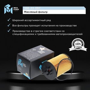 Изображение 6, 100-23-097 Фильтр масляный BMW 5 (E60), 7 (E65), X5 (E53) MEGAPOWER