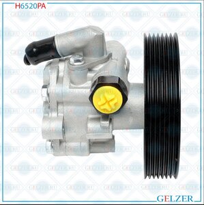 Изображение 6, H6520PA Насос гидроусилителя RENAULT Duster GELZER