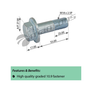 Изображение 1, 200.341 Болт DAF крепления суппорта (M18x2.5x55) MANSONS