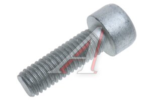 Изображение 2, 87035320 Винт М8х25 КАМАЗ крышки подшипника гидромуфты ЕВРО БЕЛЗАН