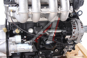 Изображение 8, 040524-4620000-00 Двигатель ЗМЗ-40524 ГАЗ-3302, 2217 ЕВРО-4 (ОАО ЗМЗ) №