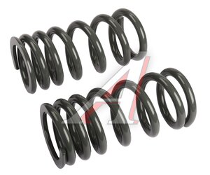 Изображение 1, MTS-515B Пружина MITSUBISHI Pajero подвески задней комплект РИФ