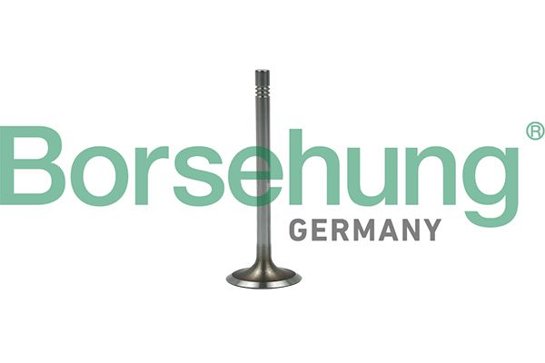 Изображение 1, B19022 Клапан впускной SKODA Octavia, Yeti (10-) (1.2TSI) двигателя BORSEHUNG