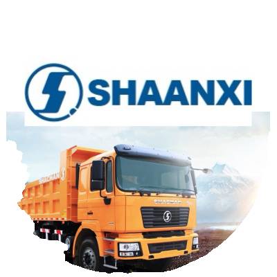 Запчасти SHAANXI (ШИНКСИ)