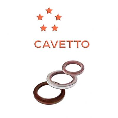 Товары Viton CAVETTO, вала вторичного, Сальник ГАЗ-3302, Сальник ЗИЛ-130, ЗИЛ-130 вала, 58х84х16 Viton, купить по оптовым ценам, сотрудничество и поставка, АвтоАльянс