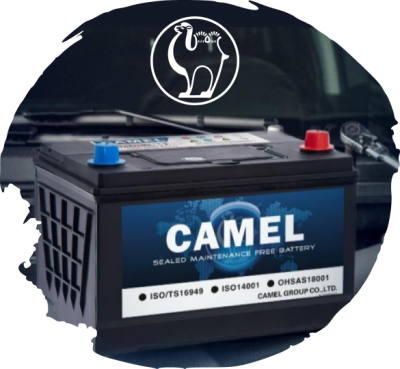 Товары Аккумулятор CAMEL, CAMEL Asia, обратная полярность, CAMEL EFB, EFB Asia, 70А/ч обратная, купить по оптовым ценам, сотрудничество и поставка, АвтоАльянс