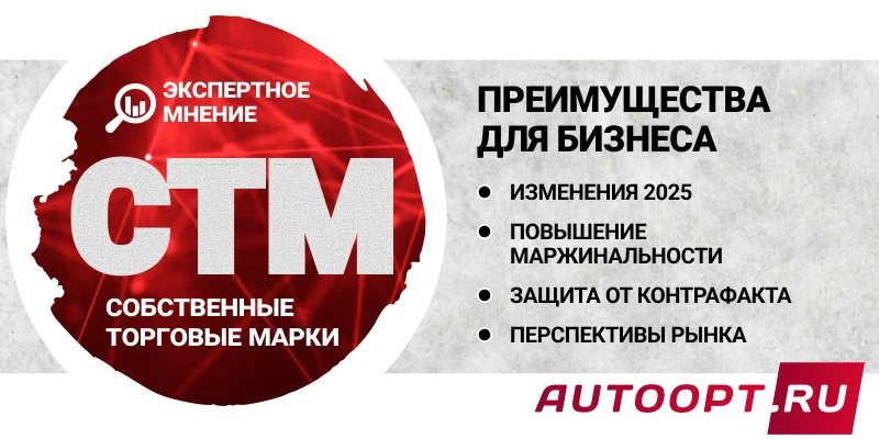 2025_stm